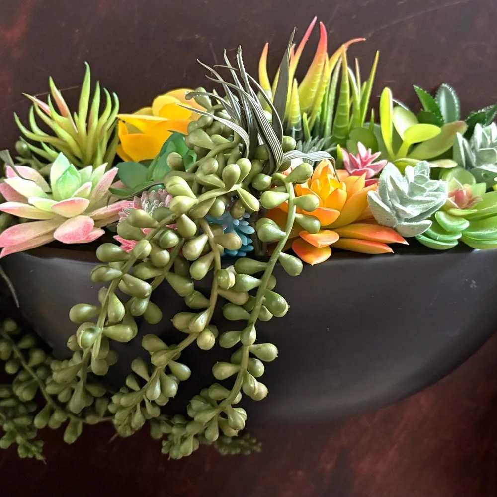 Succulent Arrangement in Black ceramic Bowl for wall